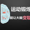 运动锻炼不仅能强健身体，还能让大脑变聪明