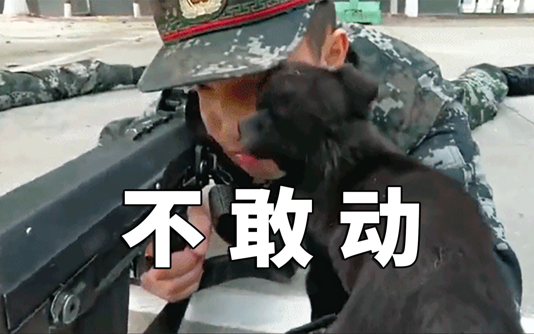 被小奶狗偷亲,兵云豹感动不敢动哥哥体会恋生死图片