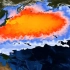 日本核污染水已进入大海！240天后或到达我国沿岸海域