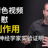 情色视频和自慰的副作用｜脑神经学 _ Dr Andrew Huberman 医生