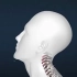 德物堂 医疗器械医用颈椎牵引器家用医用拉伸病理疗仪治疗带颈托充气护颈矫正劲椎颈部