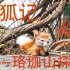 [坐标武汉大学]搜狐记--珞珈山探险（你能帮阿舟找到小狐狸吗）