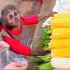 YoYo小猴逛市场，选起玉米有模有样
