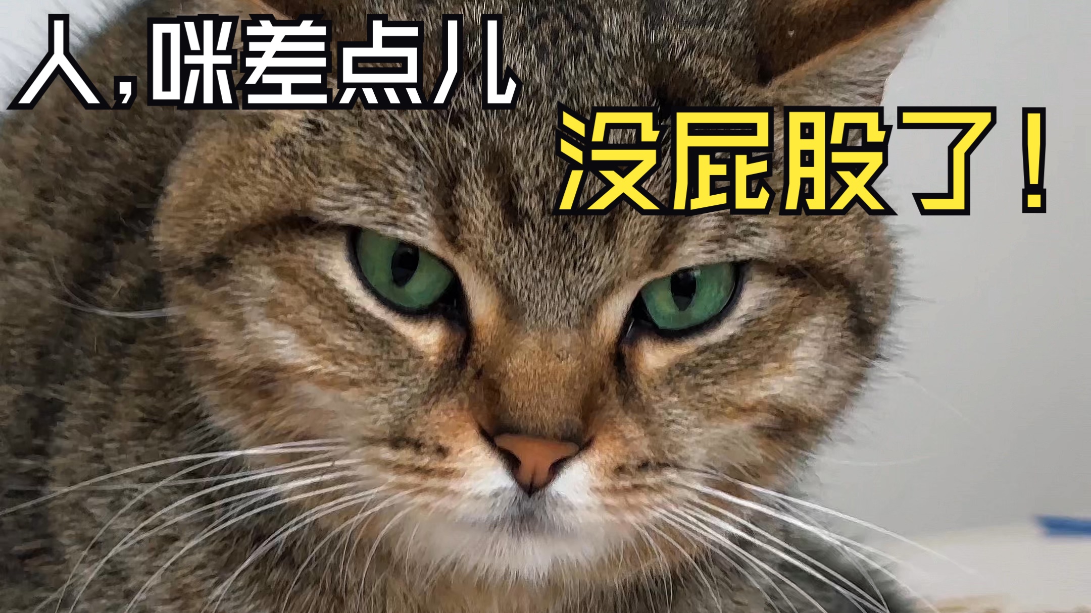 被爱会疯狂长出屁股？