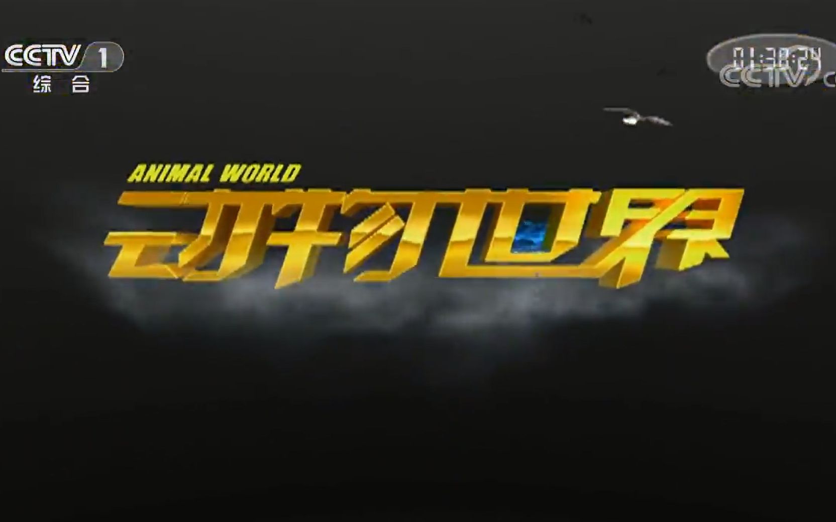 【cctv】动物世界 熊的王国