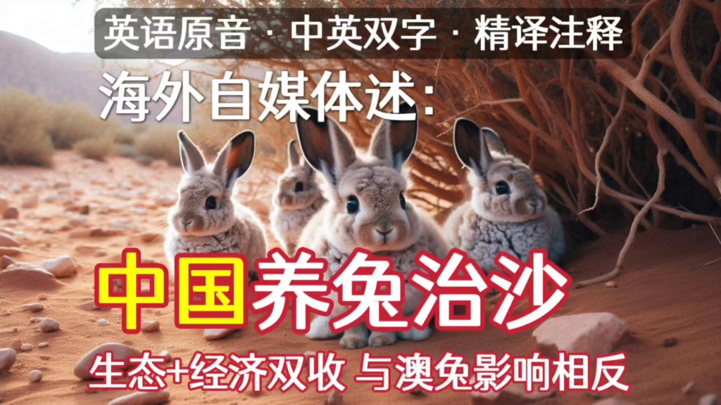 中英字幕精译注释 ｜ 海外自媒体：中国养兔治沙，120万只放养兔带来与澳洲截然相反的生态经济双收