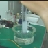 氢气的实验室制备（锌粒与酸反应）