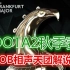 【DOTA2秋季赛—OB解说】VG vs Secret
