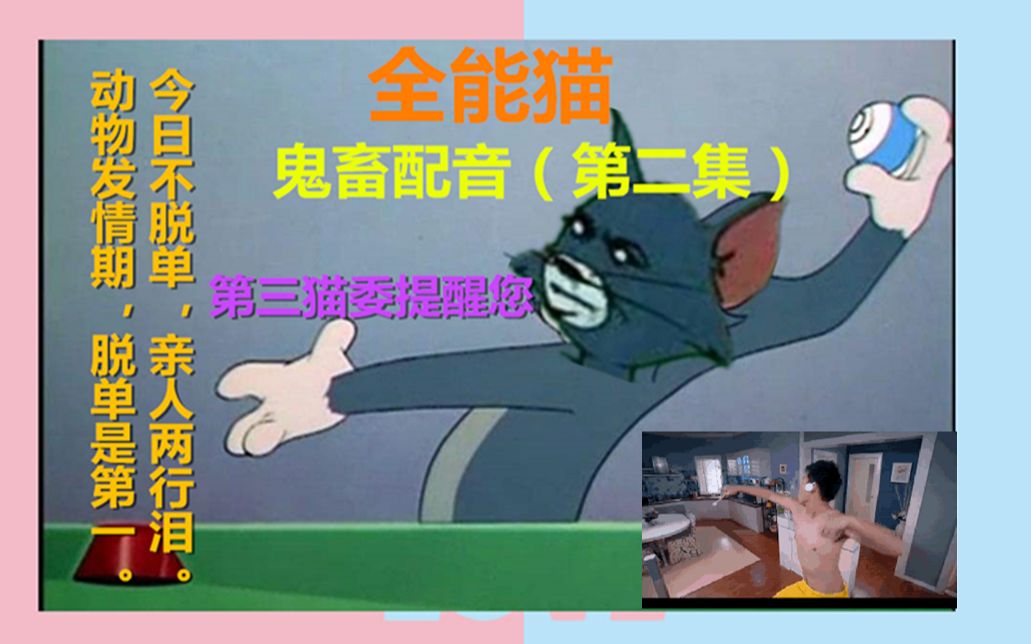 猫和老鼠鬼畜配音全能猫第二集第三猫委提醒您动物发情期脱单是第一