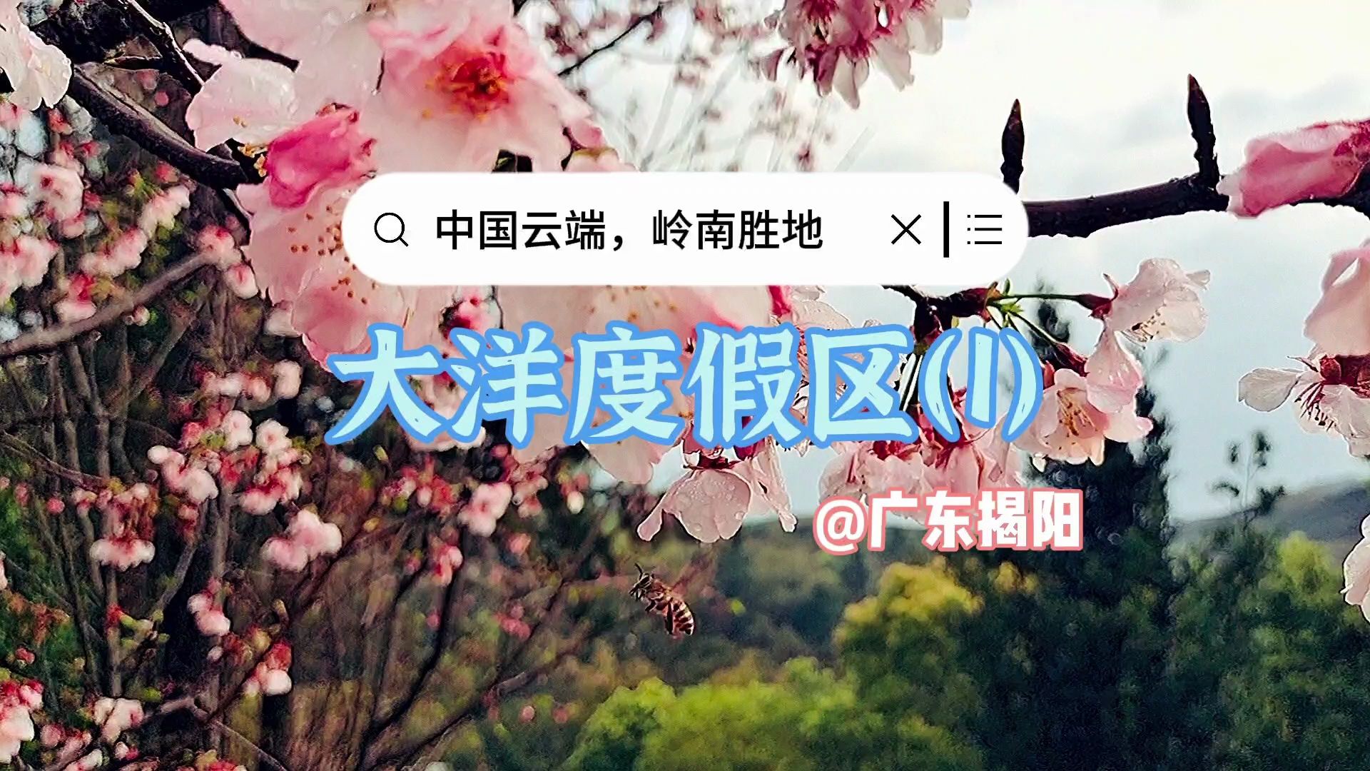被称作“中国云端，岭南胜地”的揭西大洋国际生态旅游度假区，雨雾弥漫时，躲在房间里悠闲喝茶最合适不过了，还有花鸟鱼虫、高山茶园相伴！