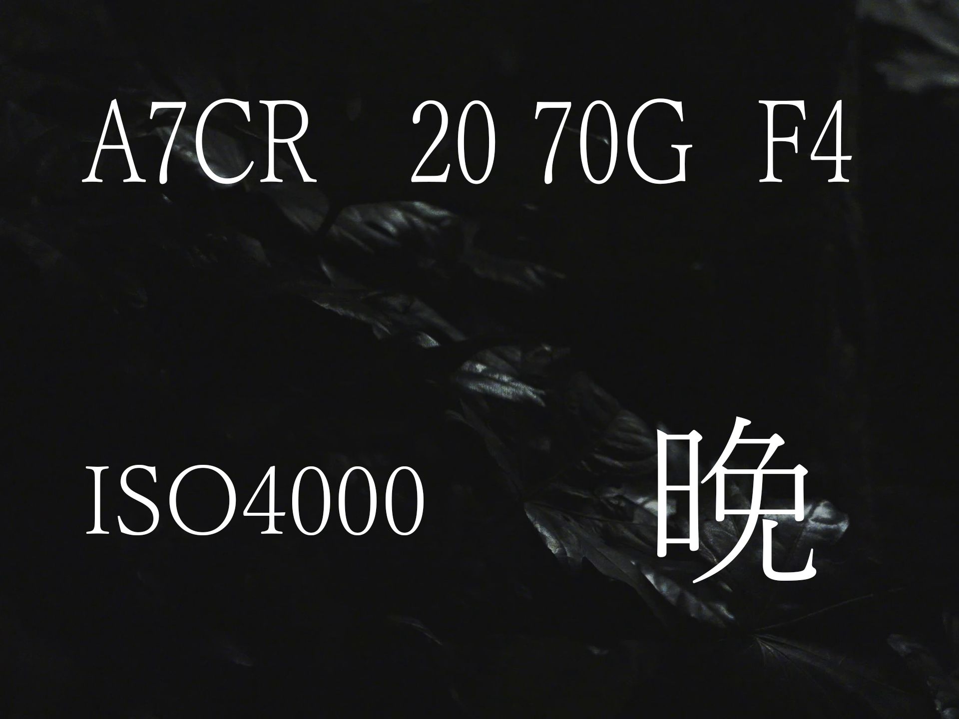 F4光圈的夜晚如何？索尼A7CR 2070G夜间实拍