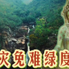消灾免难绿度母｜超好听.治愈.你准没听过