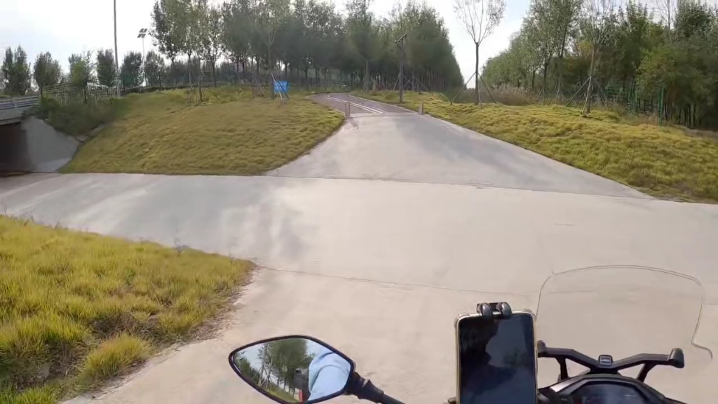 东营揽翠湖粉黛乱子草。骑行路线分享。