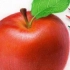 【彩铅手绘】画红苹果得用绿色，懂了吗？