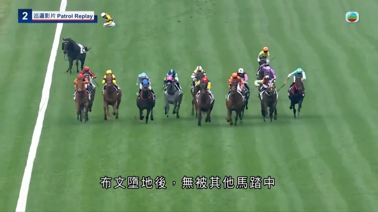 香港沙田马场发生两起骑士堕马事故，其中一匹马伤重不治【TVB News搬运】