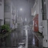 【2K HDR】雨夜漫步
