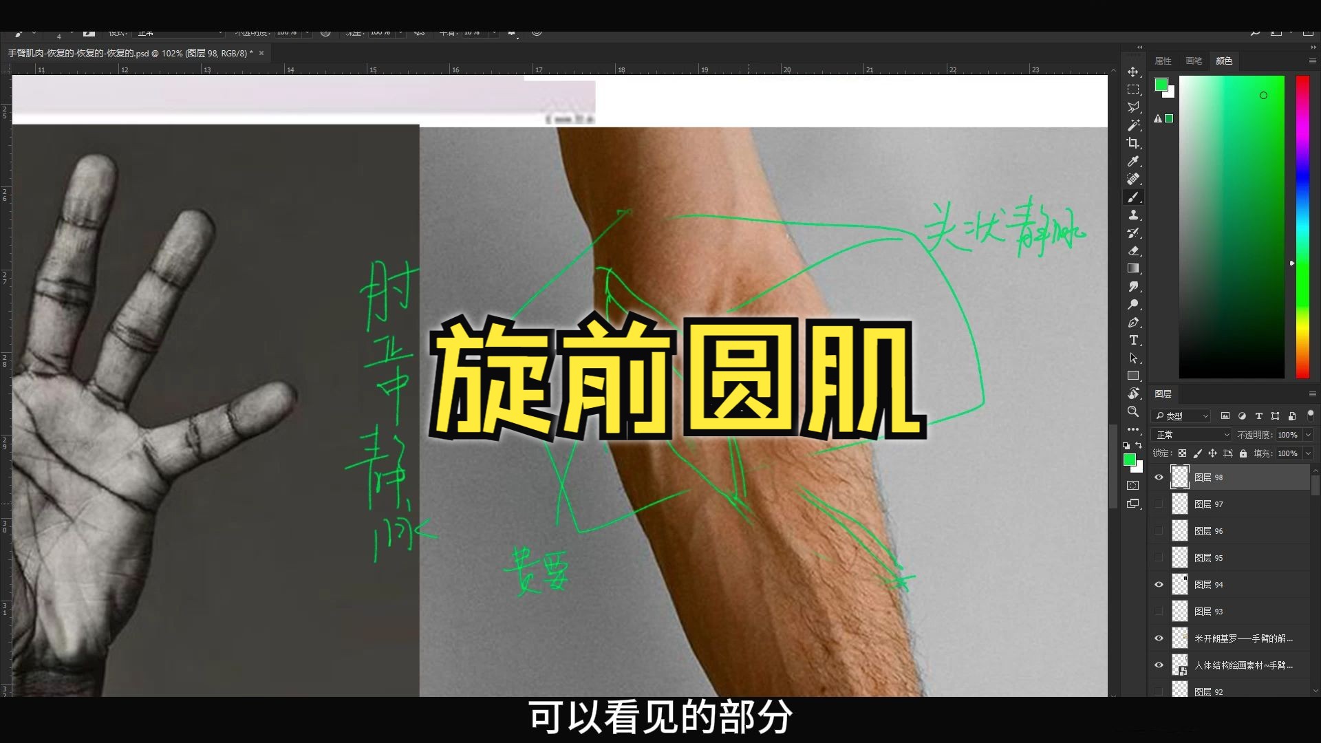 【手臂干货】旋前圆肌—结构分享，别错过！