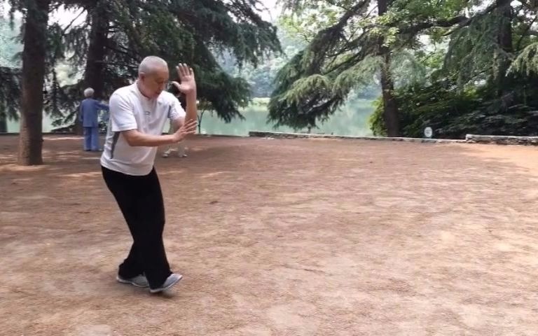 心意六合拳名家张宁卫老师演练讲解踩步摇闪把刮地风（二）