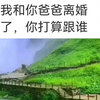 改 4.9 聪明伶俐的儿子，拯救了破碎的家庭