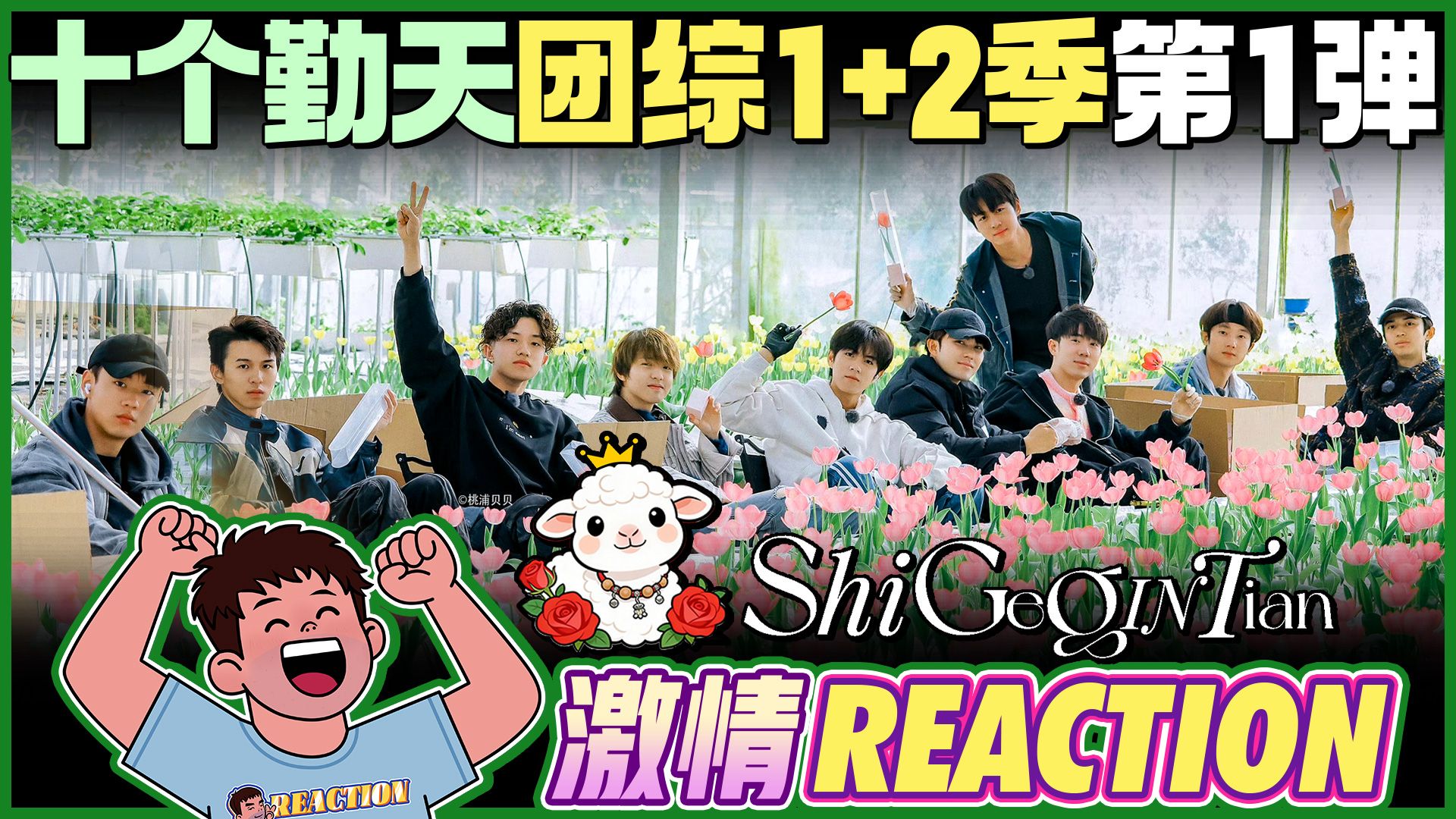 【十个勤天Reaction】东北老男孩看十个勤天 团综1+2季 第①弹 制作不易 希望您一键三连