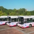 中南大学“学习二十大”主题巴士正式发车啦！