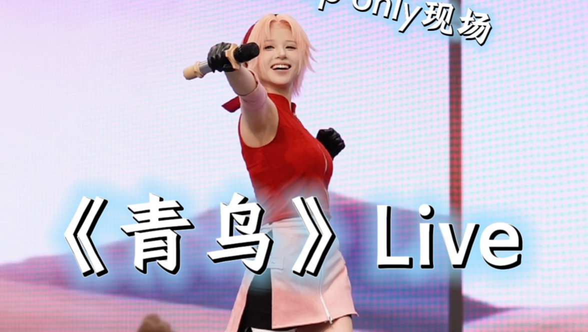 笑容元气到发光的小樱！一首青鸟带嗨全场气氛！