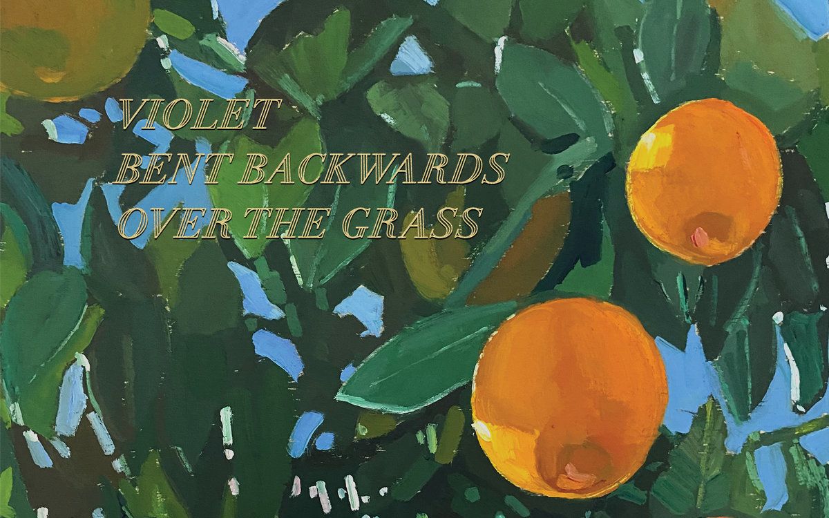 Lana Del Rey 诗集- Violet Bent Backwards Over The Grass
