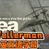 最近很火的船歌 Wellerman 中英双语字幕歌词简单，朗朗上口，适合单曲循环