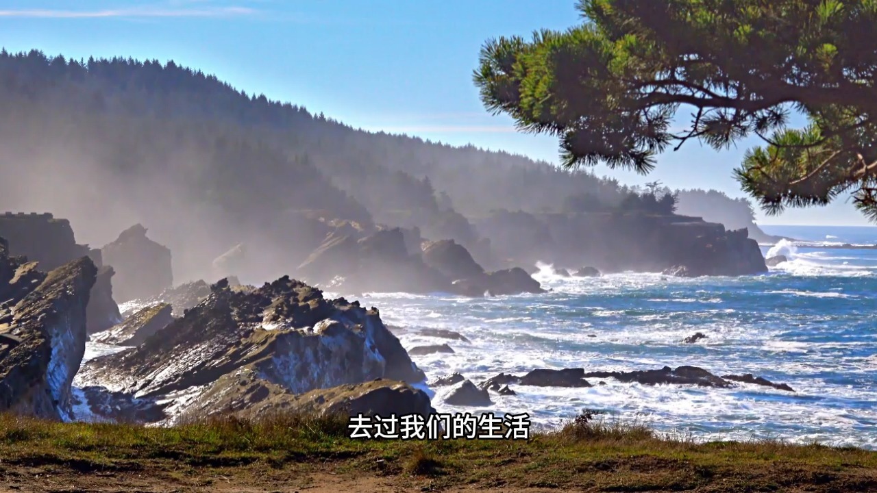 觉醒路上的最大障碍！千万别再把它当做你的动力了，它才是障碍你觉醒最大的因！