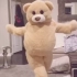 沙雕表情包布偶熊跳舞Charming bear 第十弹