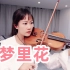 【小提琴/揉揉酱】华语经典 张韶涵 《梦里花》 附小提琴谱
