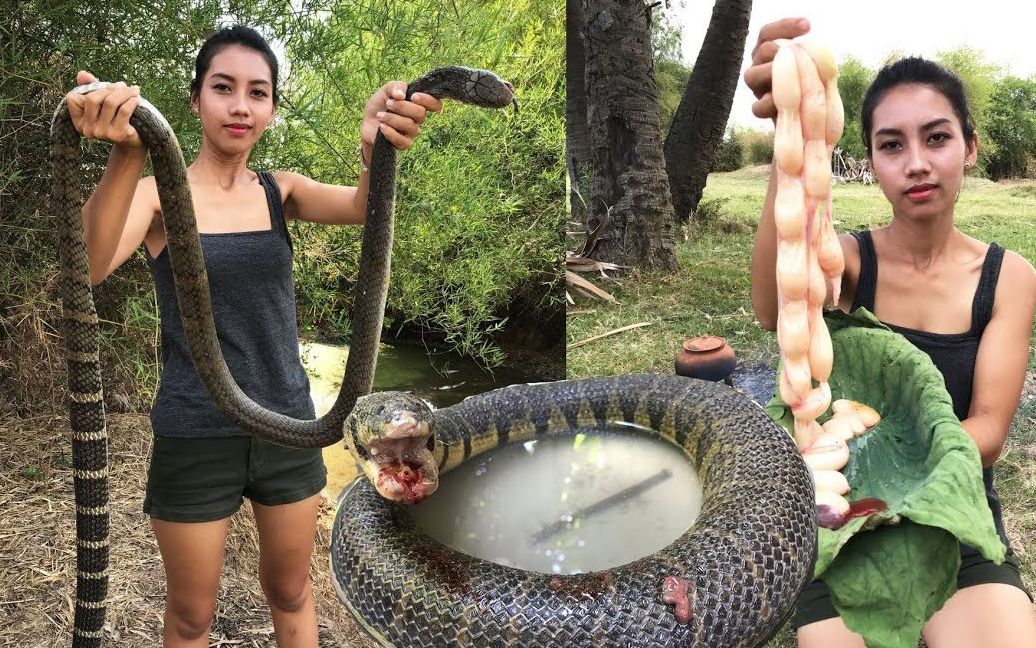 越南或者柬埔寨美女野外用瓦罐炖蛇肉，好像是眼镜蛇，我也不认识，知道的可以留言，我改下