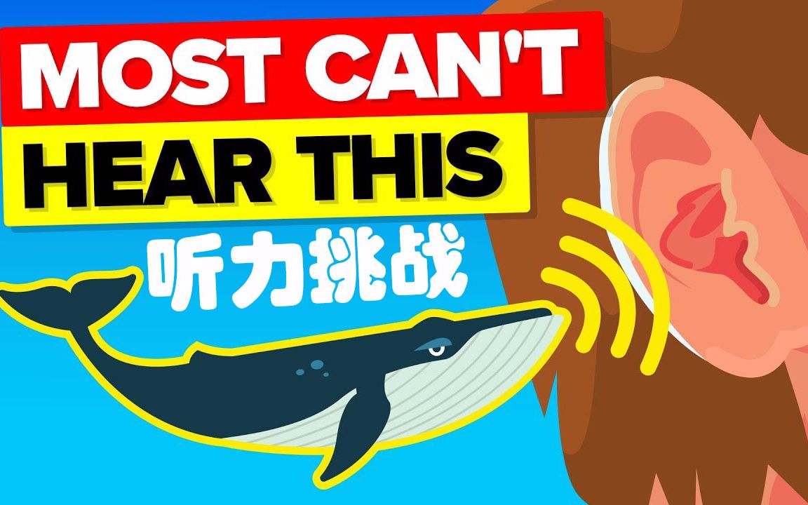 【听力挑战】据说这是18岁以下才能听到的声音【双语字幕】@鲁尔字幕组