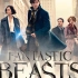 神奇动物在哪里 OST 豪华版 James Newton Howard - Fantastic Beasts and W