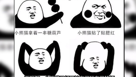 【表情包发展史01】为什么中国网友最熟悉的表情是一只沙雕熊猫?