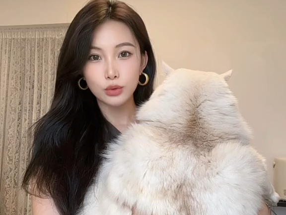 师傅到最后都以为给狗开的