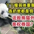 “熊猫外交”竟被污蔑为丧权辱国条约，造谣旅外熊猫受虐还不够？还想造谣国内？