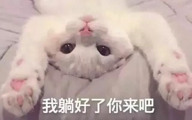 『无法触碰的掌心』葵篇~哔哩哔哩bilibili