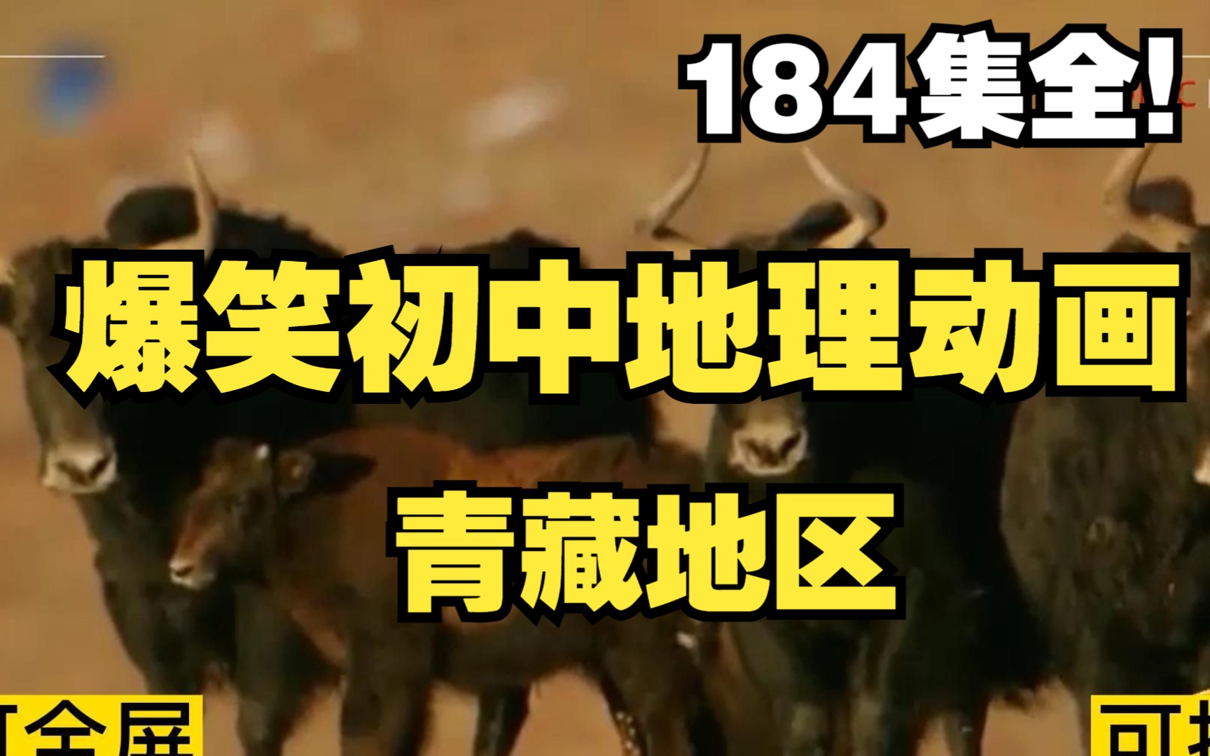184集全可分享 爆笑初中地理动画 青藏地区 学习地理有方法