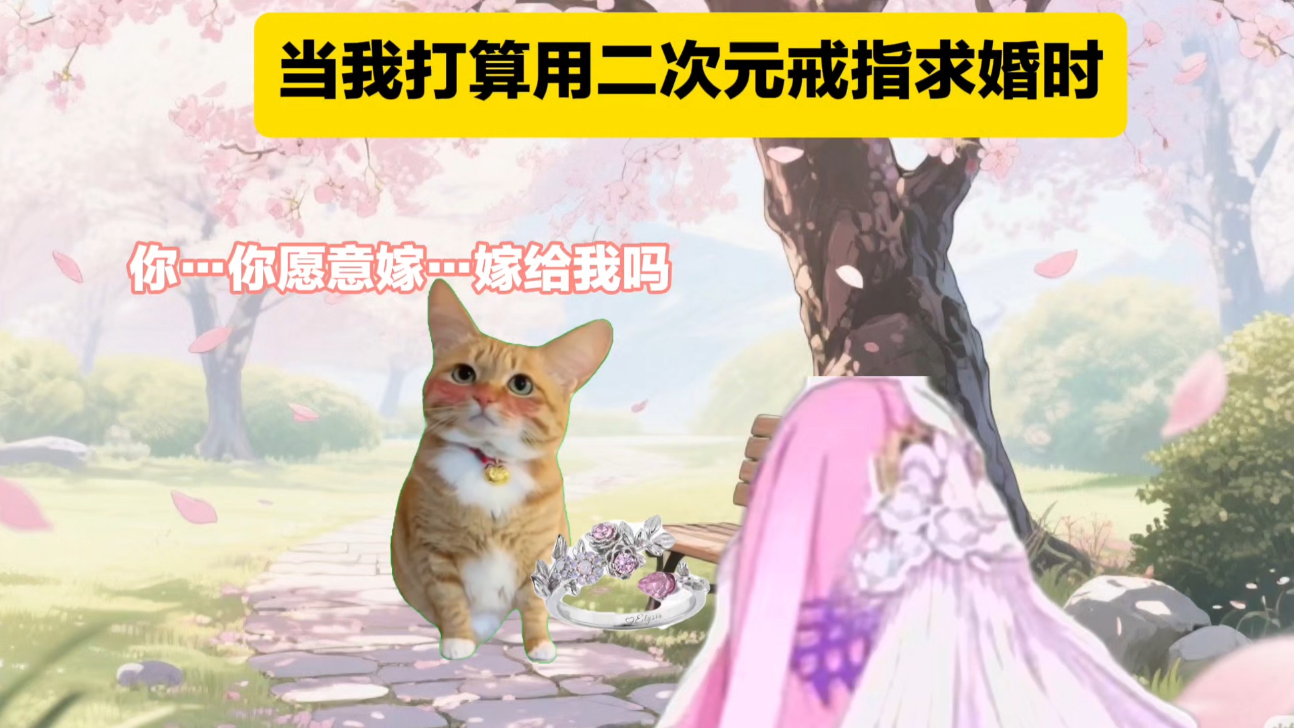 当我打算用二次元戒指求婚时