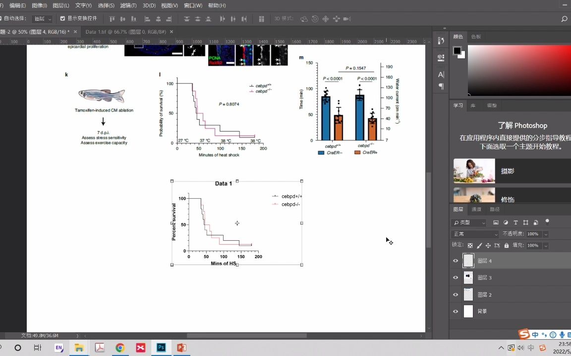 手把手示范photoshop软件处理科研图片