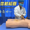 心脏体格检查