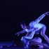 【广州大学音乐舞蹈学院】双人舞现代舞《无足鸟》（郑精广、梁捷）第三届广东岭南舞蹈大赛