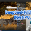 极客湾：DeepSeek有没有办法跑在NPU上