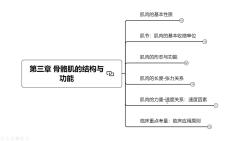 《基础肌动学》第三章