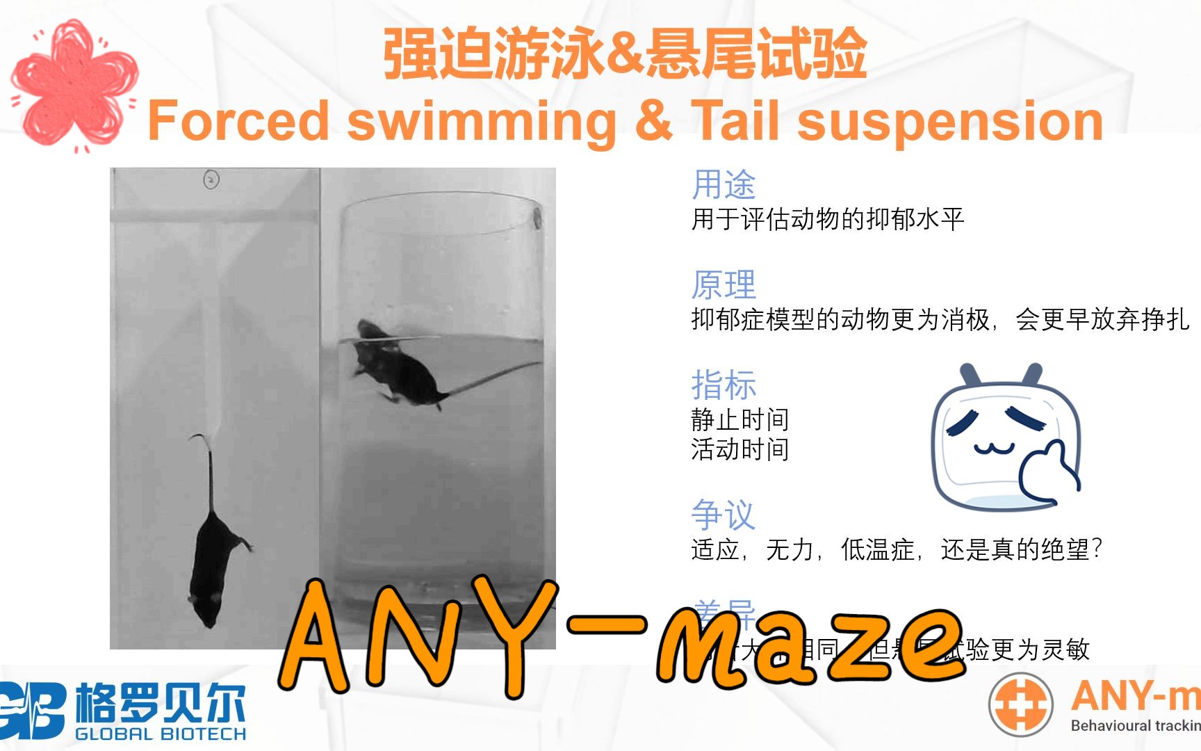 ANY-maze网课系列——强迫游泳与悬尾实验