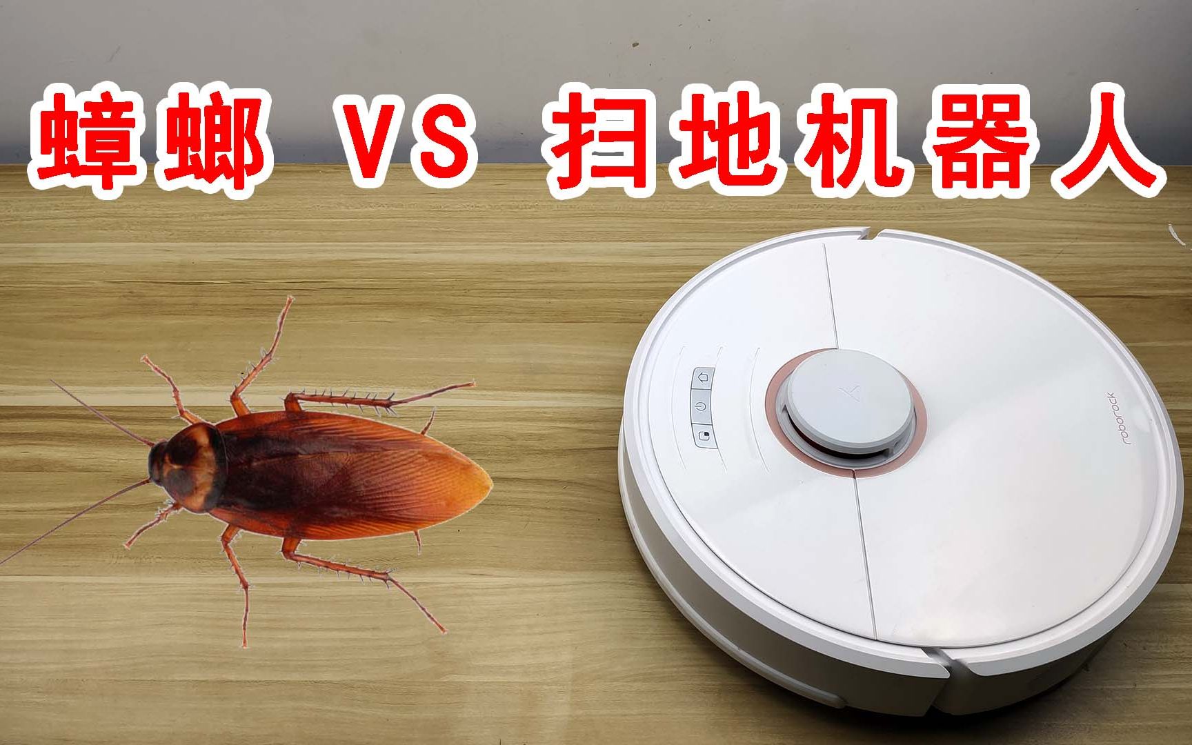 当蟑螂遇到扫地机器人！又一个灭蟑螂神器诞生了！