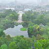 听雨海珠湿地画外烟渚