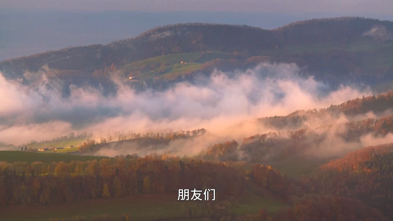 如何从反复折磨你的痛苦回忆中抽离？这个真相你自己都未曾察觉！一个方法疗愈你未被发现的痛苦卡点！