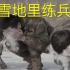 雪地里练兵，中国军人就是这样炼成的！